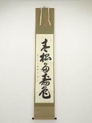 前大徳横井明堂筆　「青松多寿色」一行書　肉筆紙本掛軸（共箱）